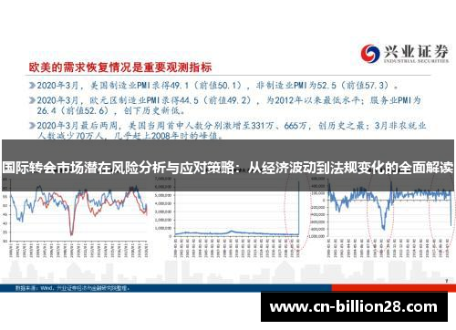 国际转会市场潜在风险分析与应对策略：从经济波动到法规变化的全面解读