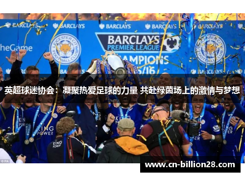 英超球迷协会：凝聚热爱足球的力量 共赴绿茵场上的激情与梦想