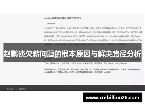 赵鹏谈欠薪问题的根本原因与解决路径分析