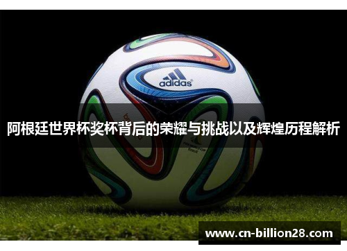 阿根廷世界杯奖杯背后的荣耀与挑战以及辉煌历程解析